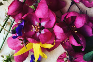 Purple orchids on flat surface.