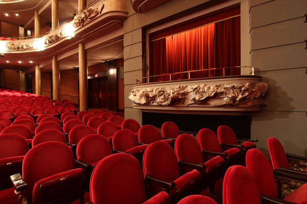 The sculpted frieze of the boxes on the orchestra level.